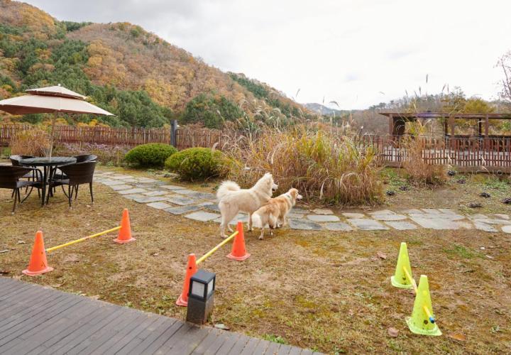 Healience Village ホンチョン エクステリア 写真